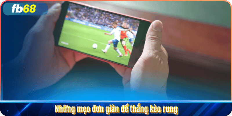Những mẹo đơn giản để thắng kèo rung